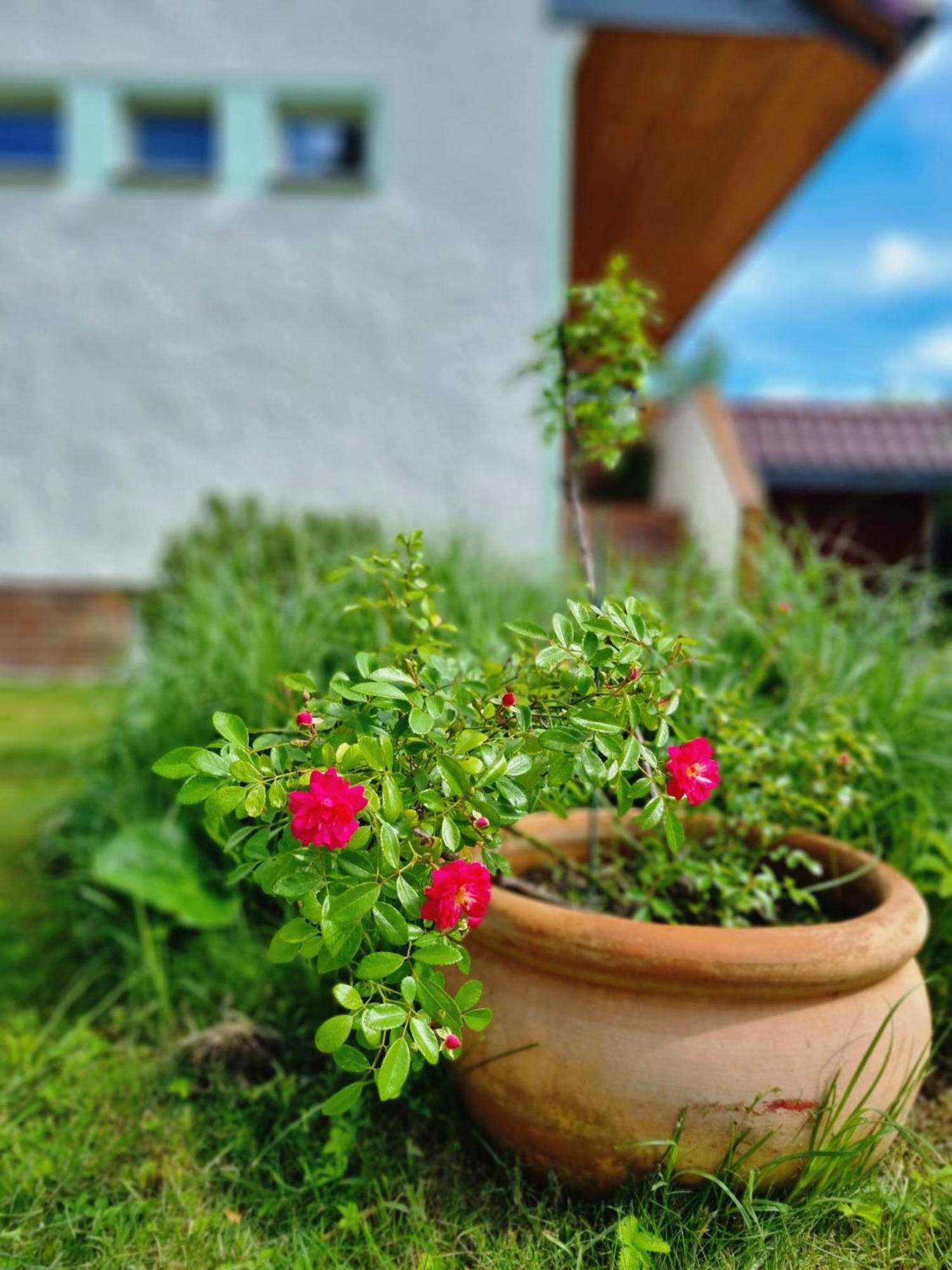 Ferien Oase Am Ber Apartamento Schönefeld Exterior foto