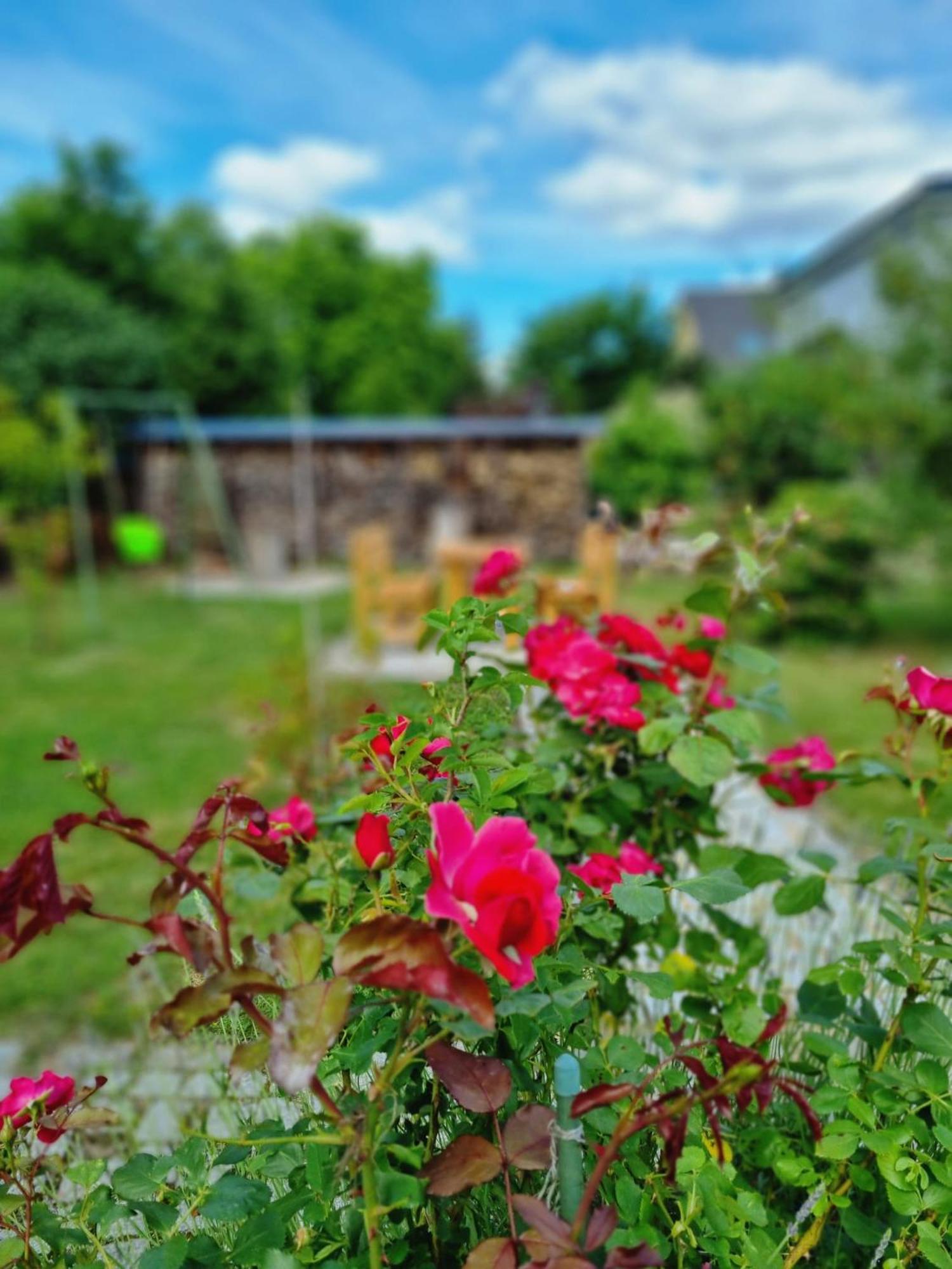 Ferien Oase Am Ber Apartamento Schönefeld Exterior foto